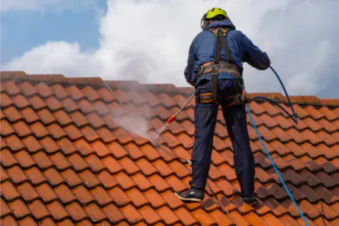 Roof Tile Cleaning