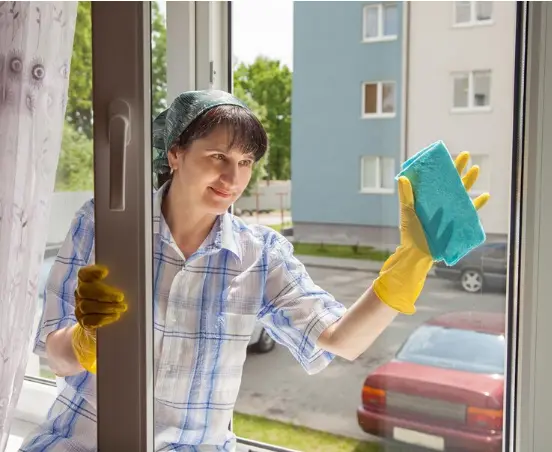 Professional Window Cleaning Service