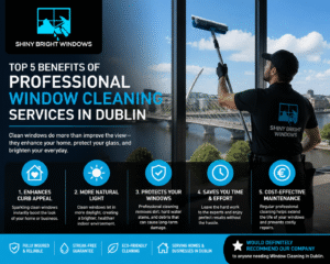 Top 5 Benefits of Window Cleaning Services Dublin
