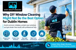 Why DIY Window Cleaning Might Not Be the Best Option for Dublin Homes